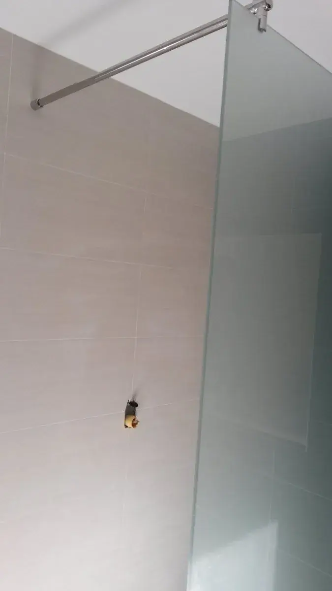 Sprchový kout z kaleného skla na míru